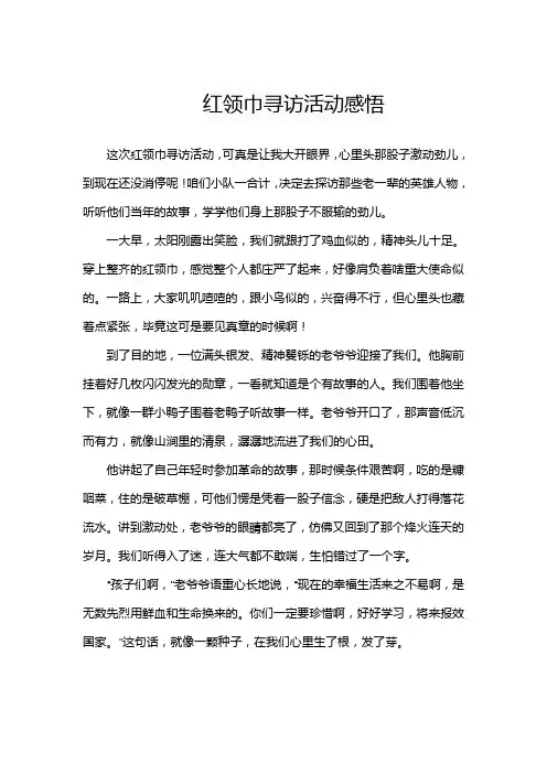 红领巾寻访活动感悟