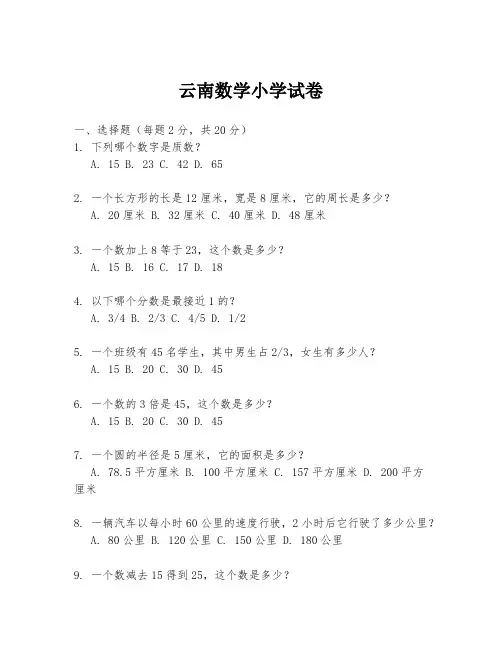 云南数学小学试卷