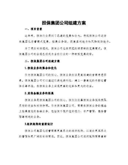 担保集团公司组建方案