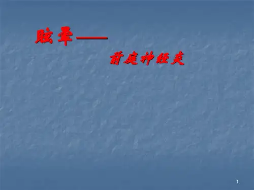 眩晕前庭神经炎PPT课件
