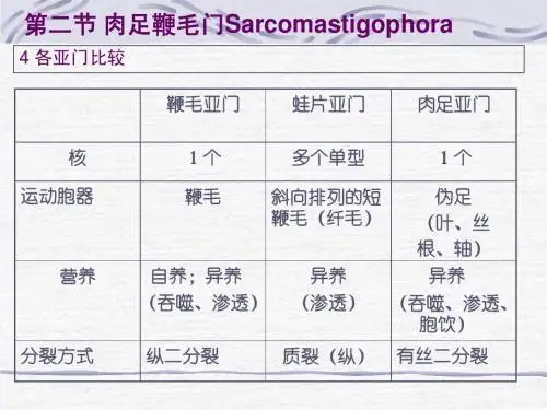 【期末复习总结】无脊椎动物总结
