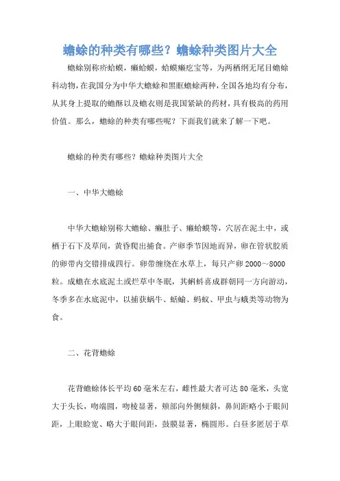 蟾蜍的种类有哪些？蟾蜍种类图片大全