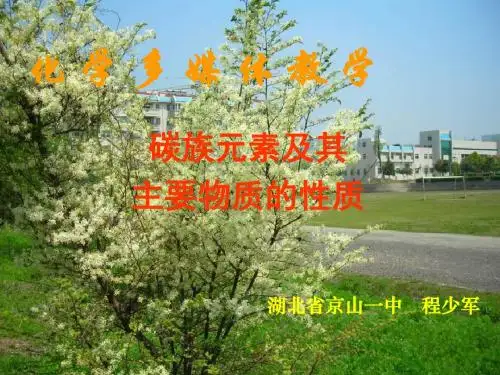 高三化学碳族元素
