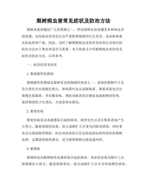梨树病虫害常见症状及防治方法