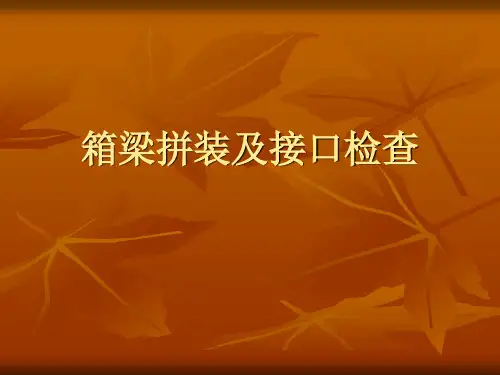 箱梁拼装及接口检查