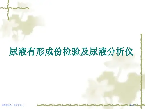 尿液有形成分和尿分析仪专家讲座