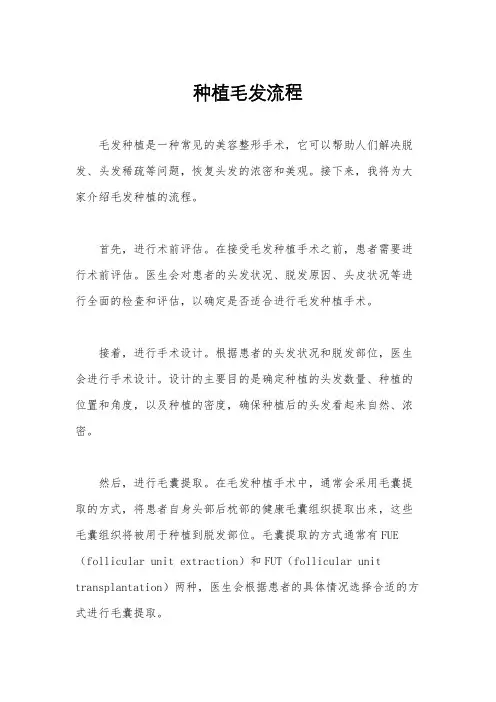种植毛发流程