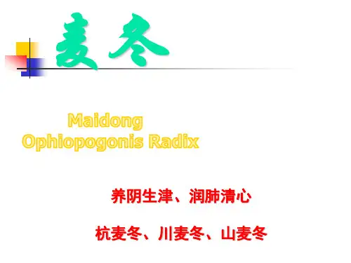 麦冬、山药、莪术(中药鉴定)