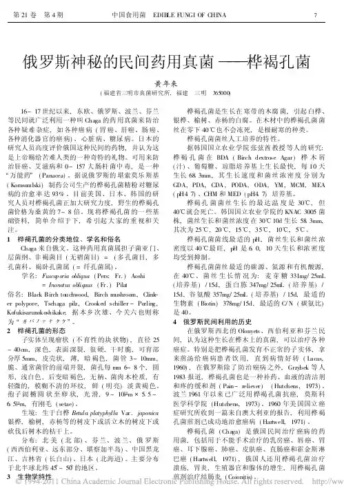 俄罗斯神秘的民间药用真菌_桦褐孔菌_黄年来