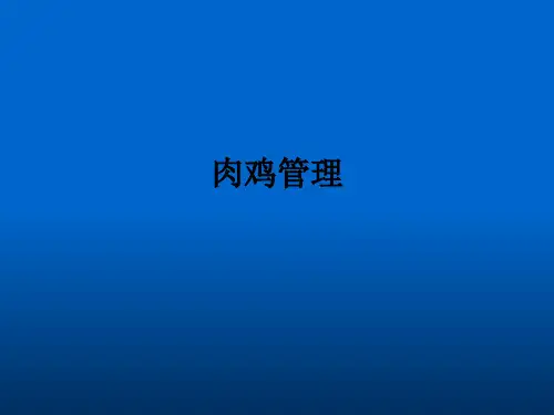 肉鸡管理ppt课件