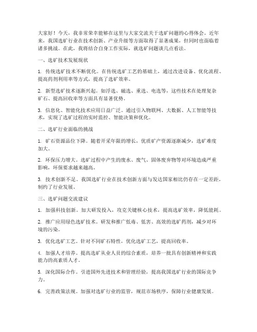 选矿问题交流发言稿