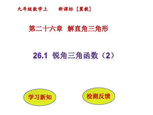 2锐角三角函数PPT课件(冀教版)