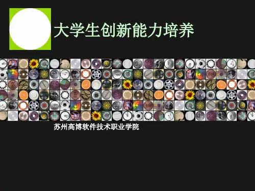 大学生创新能力培养