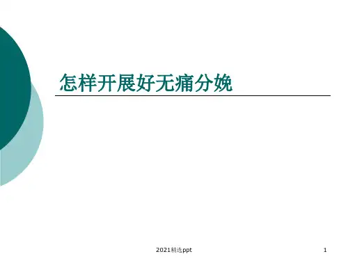 怎样开展好无痛分娩ppt课件