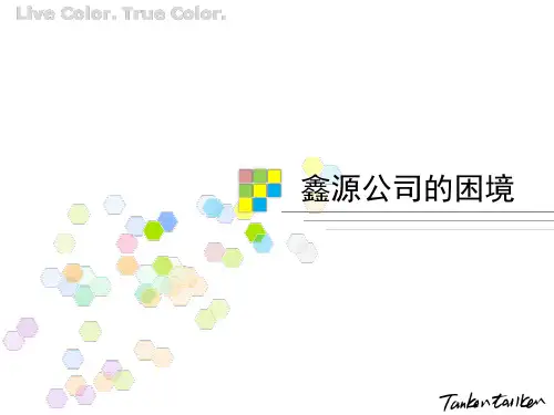 会计信息系统案例分析-鑫源公司的困境