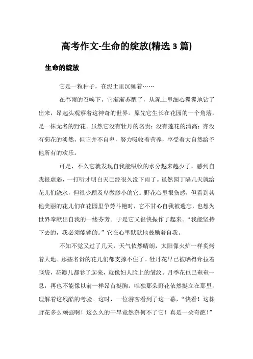 高考作文-生命的绽放(精选3篇)