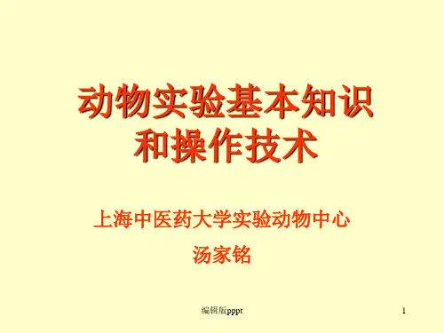 动物实验的基本技术和方法ppt课件