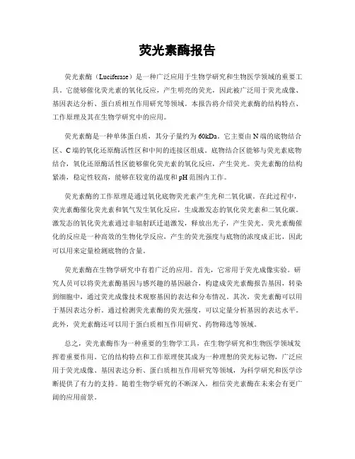 荧光素酶报告