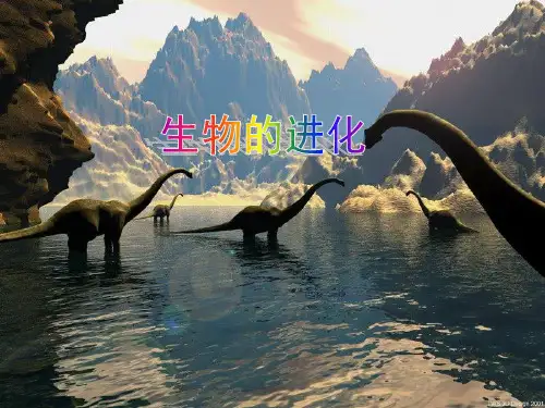 生物八年级下册生物的进化课件