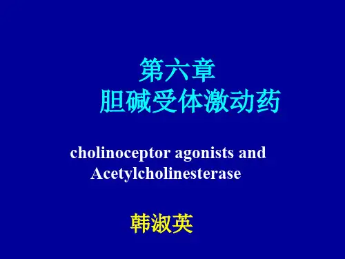 药理 胆碱受体激动药、抗胆碱酯酶药