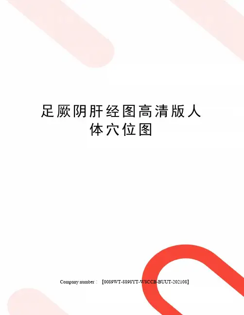 足厥阴肝经图高清版人体穴位图