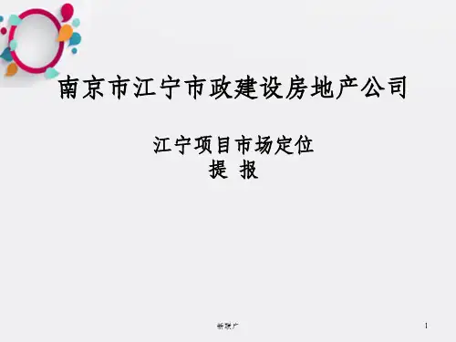南京市江宁项目市场定位分析研究报告_OK