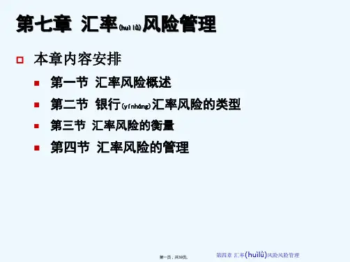 《汇率风险的管理》PPT课件