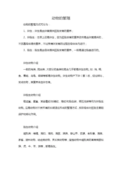 动物的繁殖