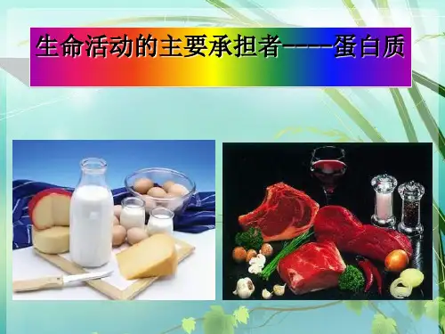 高一生物蛋白质(1) PPT课件 图文