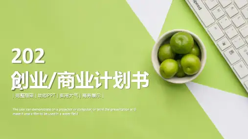 2018年创业商业计划书PPT模板