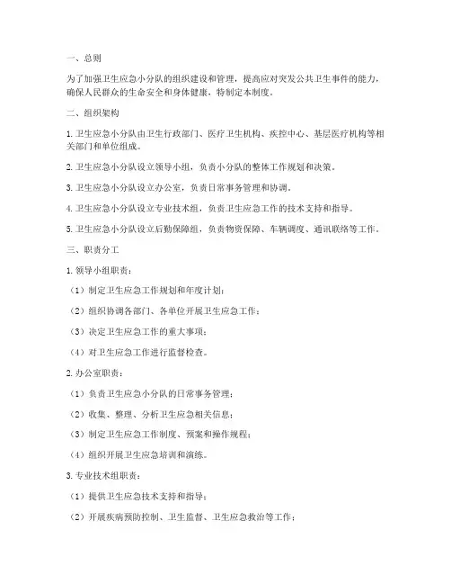 卫生应急小分队管理制度
