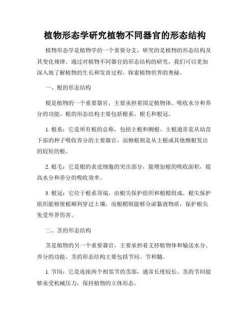 植物形态学研究植物不同器官的形态结构