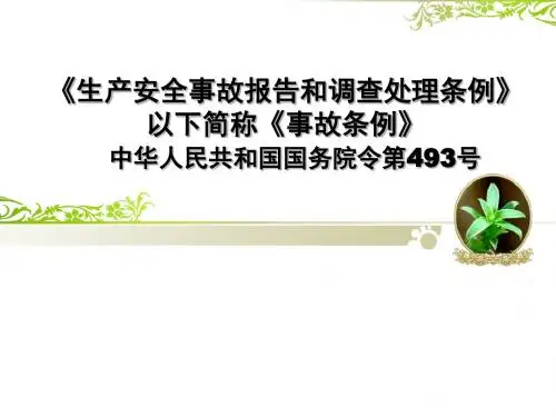 《生产安全事故报告和调查处理条例》