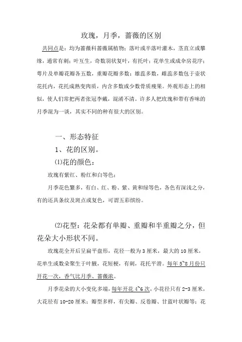 玫瑰、月季、蔷薇区别