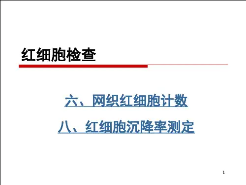 网织红细胞计数