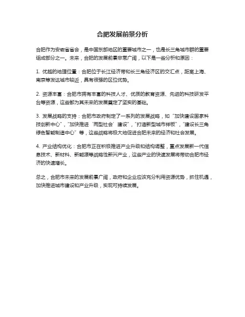 合肥发展前景分析