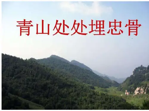 五年级语文下册PPT课件-10 青山处处埋忠骨(人教部编版) (共40页)