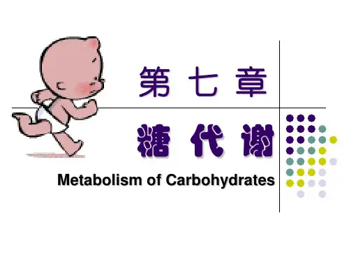 糖代谢