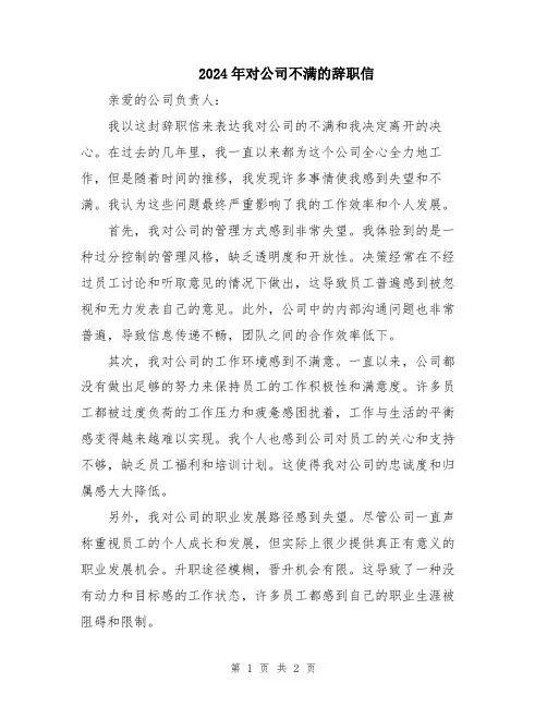 2024年对公司不满的辞职信