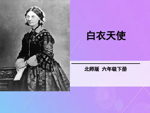白衣天使PPT