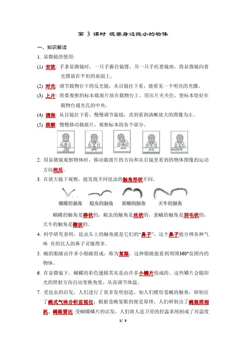 教科版科学六年级上册第1单元 小册子 第 3 课时 观察身边微小的物体