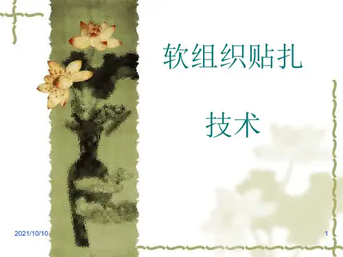 软组织贴扎技术
