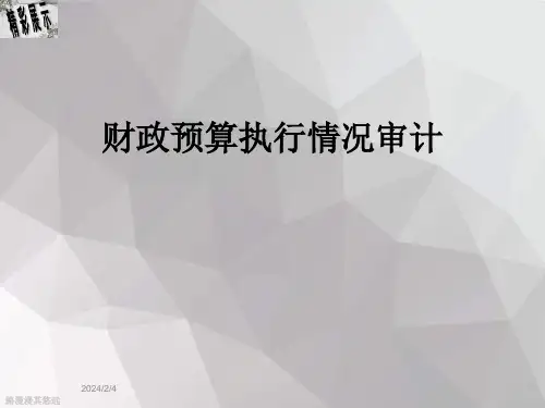 财政预算执行情况审计
