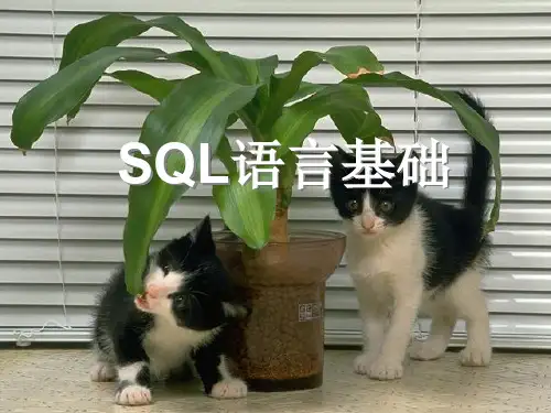 Oracle SQL语言基础