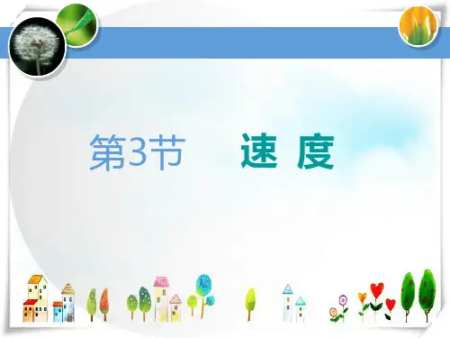 物理 第3节 速 度-课件