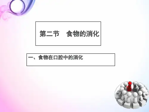 冀教版七下生物 食物的消化 课件