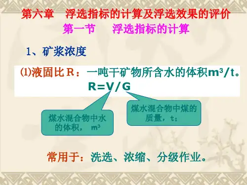 浮选课件(6章)