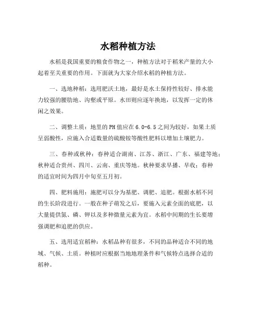 水稻种植方法