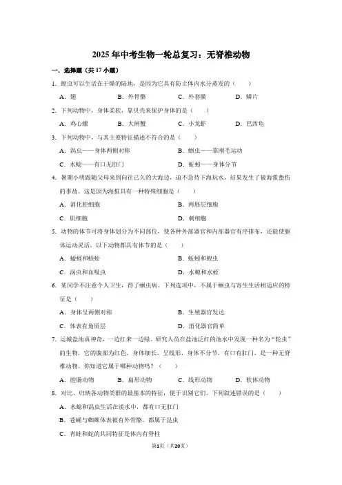 2025年中考生物一轮总复习：无脊椎动物(附答案解析)