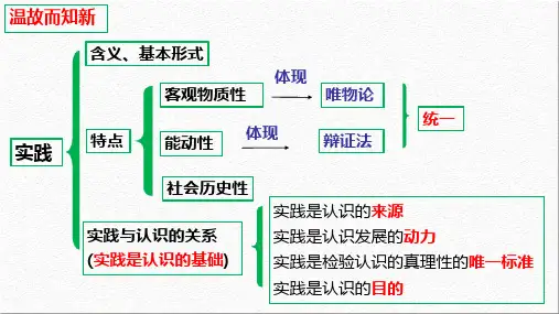 4.2  在实践中追求和发展真理 课件(共48张PPT)- 高中政治统编版必修四哲学与文化